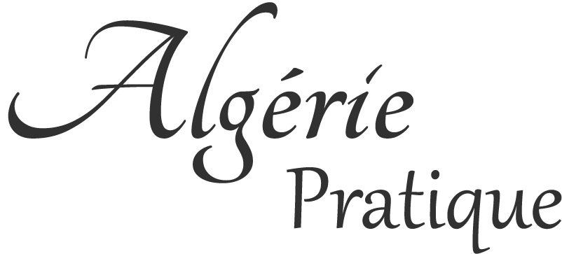 Algerie Pratique Logo