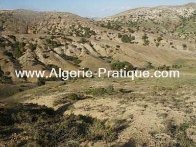 Algerie Pratique Wilaya wilaya tiaret