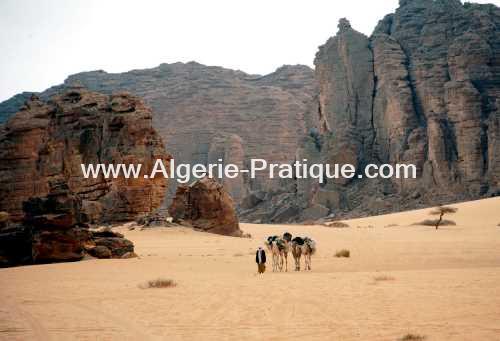 Algerie Pratique Wilaya wilaya illizi