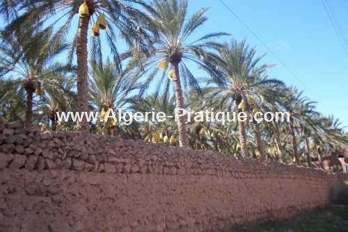 Algerie Pratique Wilaya wilaya biskra
