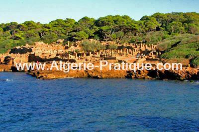 Algerie Pratique Wilaya wilaya tipaza