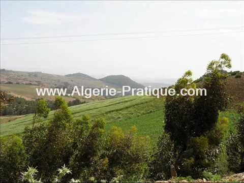 Algerie Pratique Wilaya wilaya mostaganem