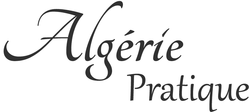 Algerie Pratique Logo